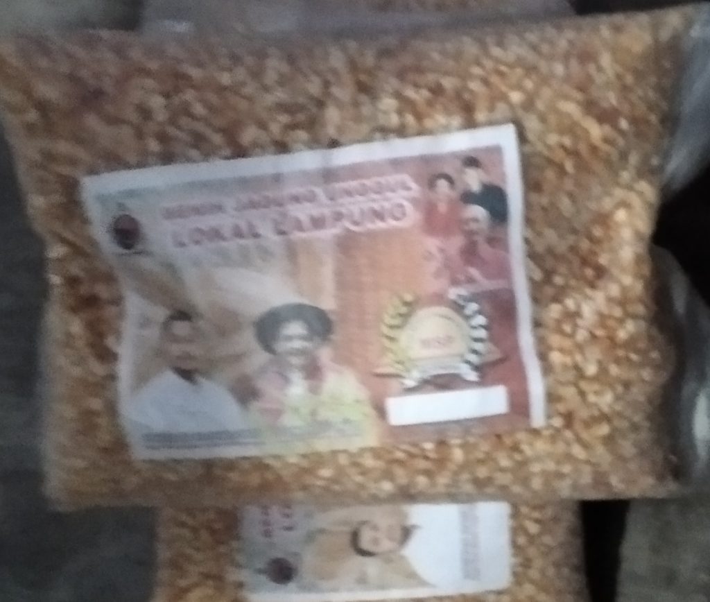 Bibit Jagung MSP