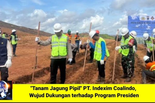 “Tanam Jagung Pipil” PT. Indexim Coalindo, Wujud Dukungan terhadap Program Presiden