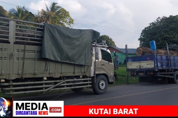 Presidium Dewan Adat dan Warga Menahan Dua Truk Kayu Log di Linggang Bigung